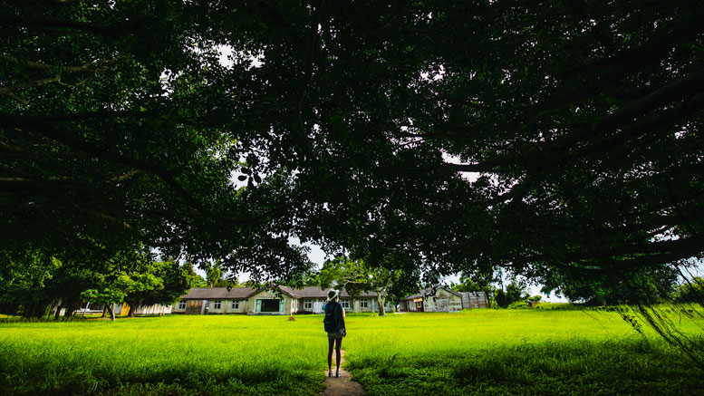 At Niumatou Cultural Park