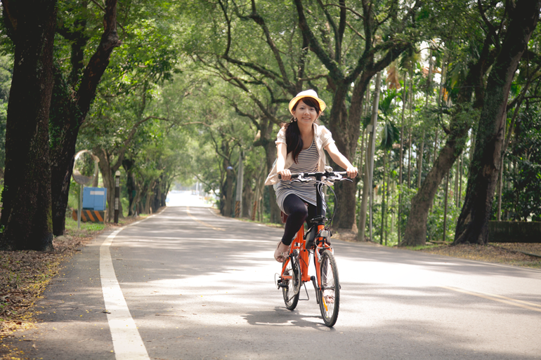 Cycling through Jiji's "Green Tunnel"