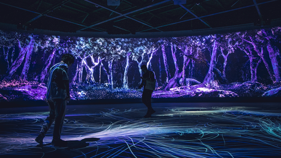 A New Vision interactive visual show