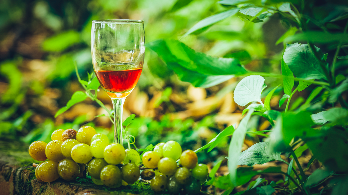 Wineries and Distilleries in the TAICHUNG/NANTOU Area